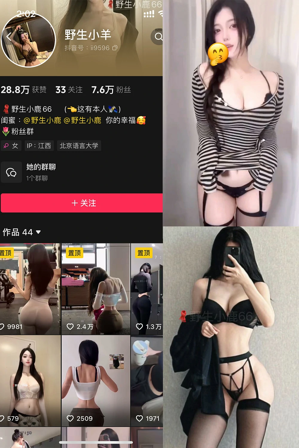 电鸽 野生小羊 抖音网红 NO.006期 【10P3V】抖音完整版合集-电鸽